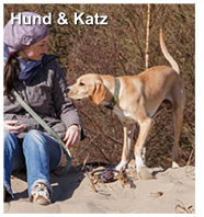 Hund & Katz