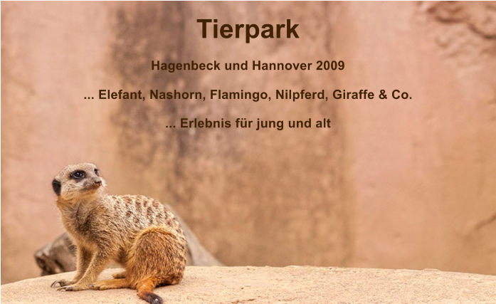 Tierpark   Hagenbeck und Hannover 2009  ... Elefant, Nashorn, Flamingo, Nilpferd, Giraffe & Co.  ... Erlebnis f�r jung und alt