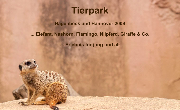 Tierpark   Hagenbeck und Hannover 2009  ... Elefant, Nashorn, Flamingo, Nilpferd, Giraffe & Co.  ... Erlebnis f�r jung und alt