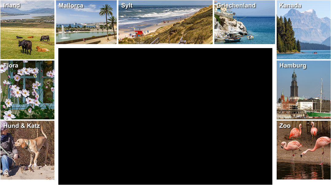 Sylt Mallorca Irland Griechenland Kanada Hamburg Flora Hund & Katz Zoo