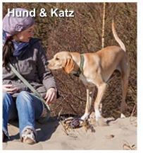 Hund & Katz