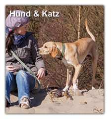 Hund & Katz