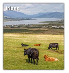 Irland