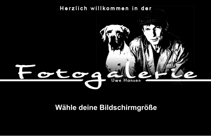 W�hle deine Bildschirmgr��e